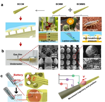 图示 AI 生成的内容可能不正确。